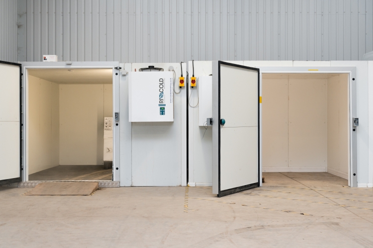 On-Site Refrigerated & Frozen Storage Refrigerated Storage Facilities